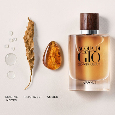 Giorgio Armani Acqua di Giò Absolu Eau de Parfum 4.2 oz